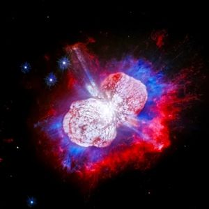 Live Show Notification